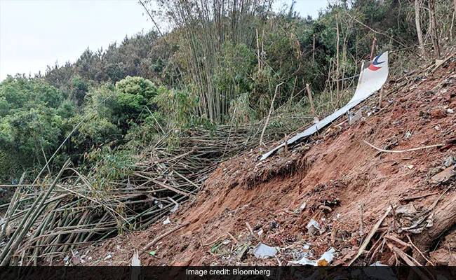 China Plane Crash: Pilot Illness Or Suicide Among "Possible Scenarios"