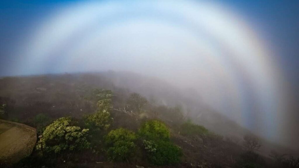 Photographer Shares Picture Of Mysterious Fogbow Formation, Surprises Internet