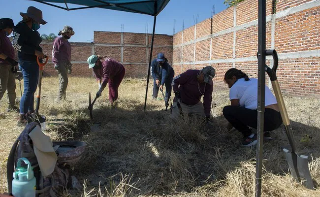 53 Bags Of Human Remains Found In Mexico. Search Started Due To A Dog