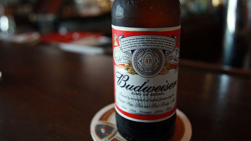 Anheuser Busch: Must-Try Beers from Independent Breweries