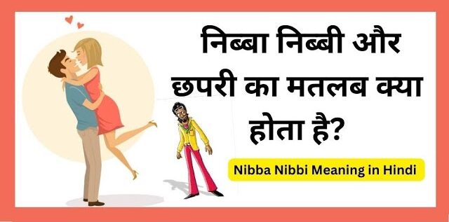 Nibba Nibbi Meaning in Hindi